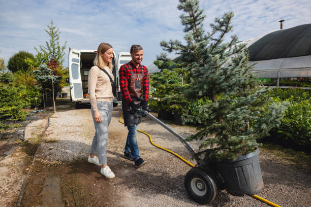 Foster City, CA Tree Service Company